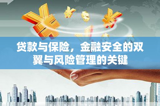 玛曲贷款与保险，金融安全的双翼与风险管理的关键