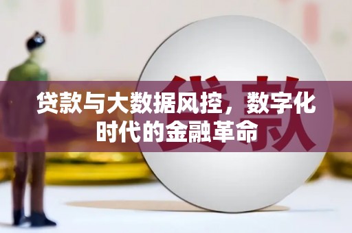 玛曲贷款与大数据风控，数字化时代的金融革命