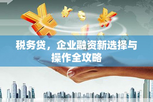 阜平税务贷，企业融资新选择与操作全攻略