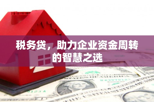 金湖税务贷，助力企业资金周转的智慧之选