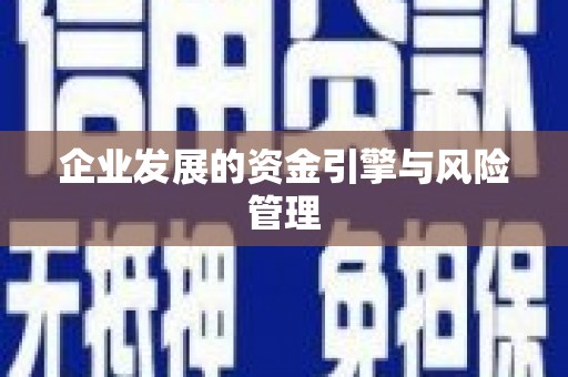 水上企业发展的资金引擎与风险管理