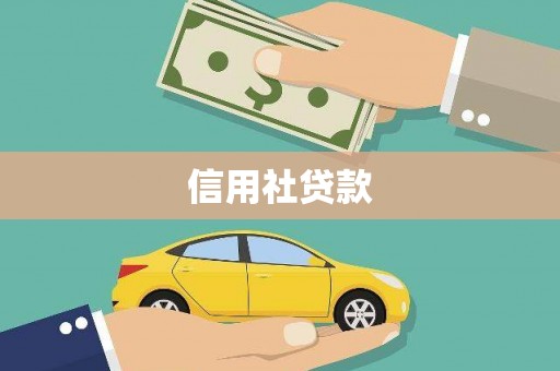 保税区信用社贷款