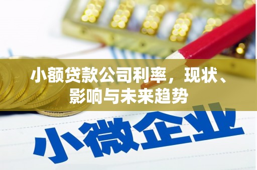 惠安小额贷款公司利率，现状、影响与未来趋势