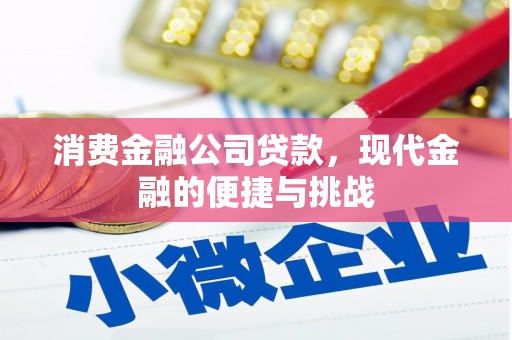 迁安消费金融公司贷款，现代金融的便捷与挑战