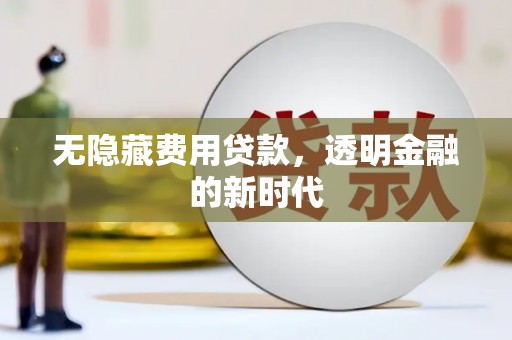 苏家屯无隐藏费用贷款，透明金融的新时代