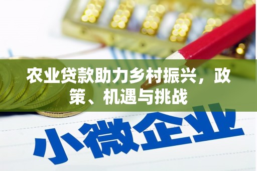山海关农业贷款助力乡村振兴，政策、机遇与挑战
