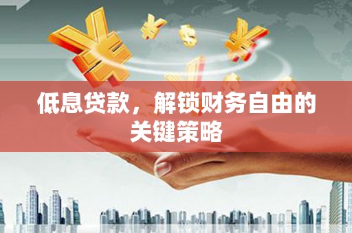 滨海低息贷款，解锁财务自由的关键策略