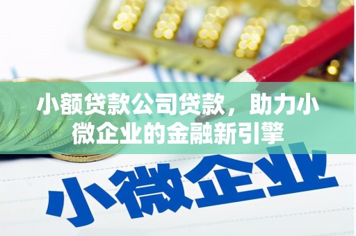 安乡小额贷款公司贷款，助力小微企业的金融新引擎