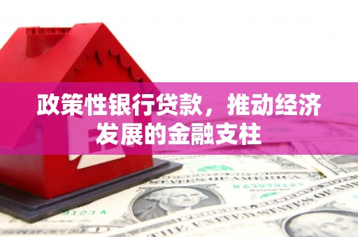 阆中政策性银行贷款，推动经济发展的金融支柱