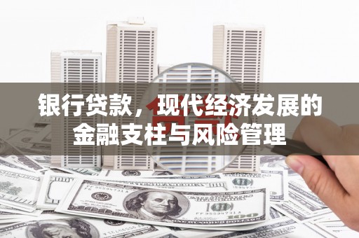 理县银行贷款，现代经济发展的金融支柱与风险管理