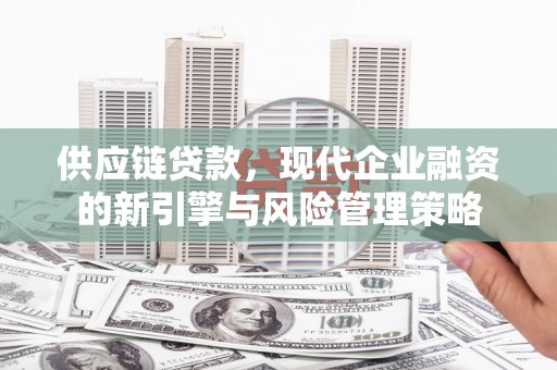 循化供应链贷款，现代企业融资的新引擎与风险管理策略