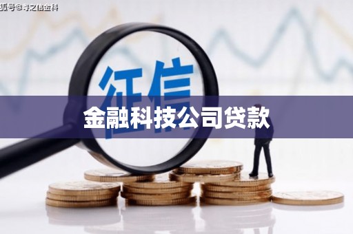 新安金融科技公司贷款
