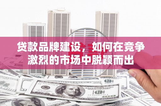 海端贷款品牌建设，如何在竞争激烈的市场中脱颖而出