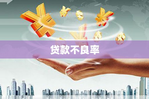 吉州贷款不良率
