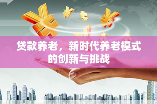 中卫贷款养老，新时代养老模式的创新与挑战