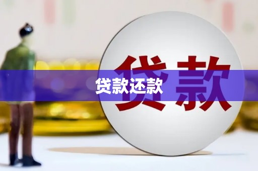 巍山贷款还款