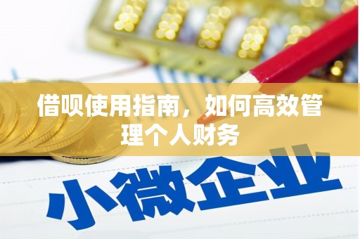原州借呗使用指南，如何高效管理个人财务