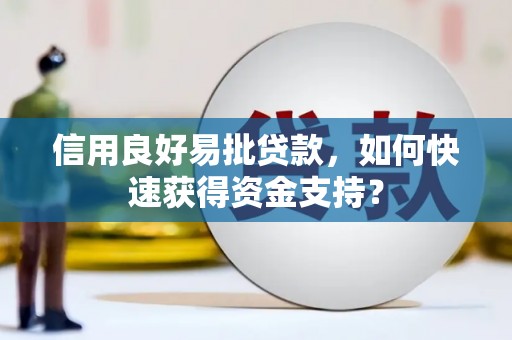 芦淞信用良好易批贷款，如何快速获得资金支持？