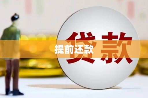 徐水提前还款