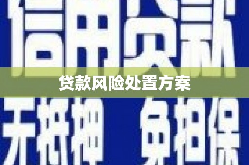 湾仔区贷款风险处置方案