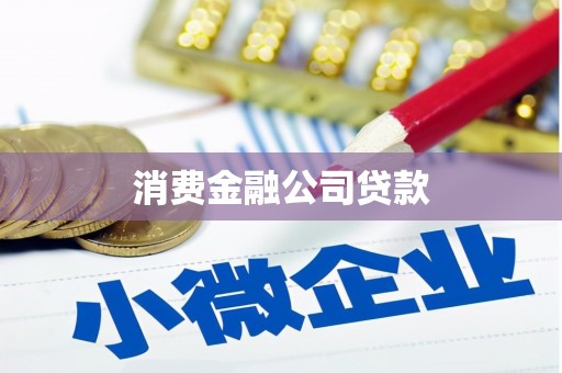 沈河消费金融公司贷款