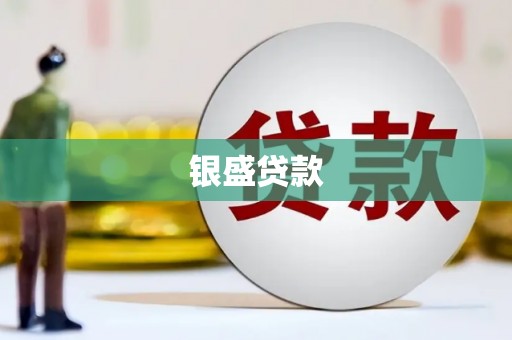 宁明银盛贷款