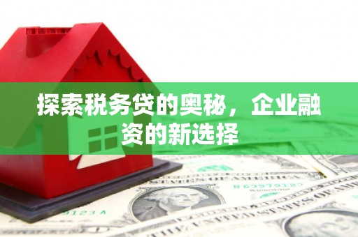 三水探索税务贷的奥秘，企业融资的新选择