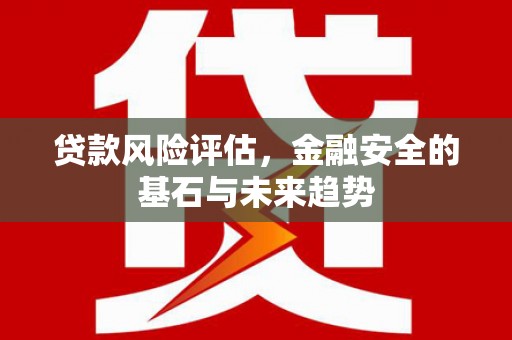 温州贷款风险评估，金融安全的基石与未来趋势