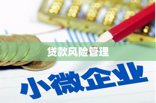 云浮贷款风险管理