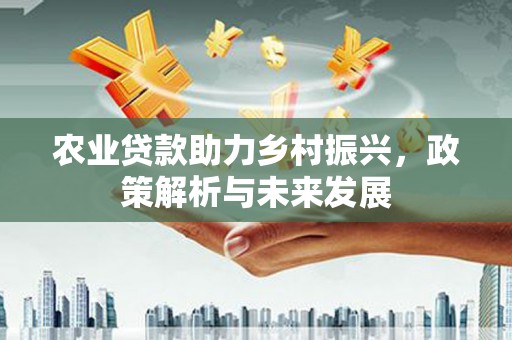 张家港农业贷款助力乡村振兴，政策解析与未来发展
