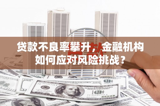 岑巩贷款不良率攀升，金融机构如何应对风险挑战？