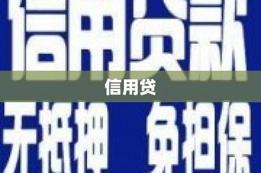 龙岗信用贷