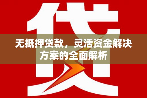 沧源无抵押贷款，灵活资金解决方案的全面解析