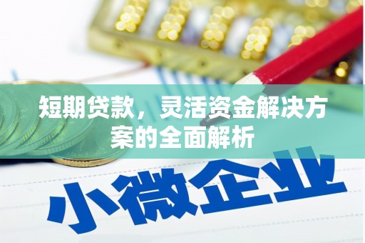 南城短期贷款，灵活资金解决方案的全面解析