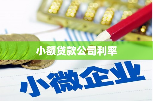 四会小额贷款公司利率