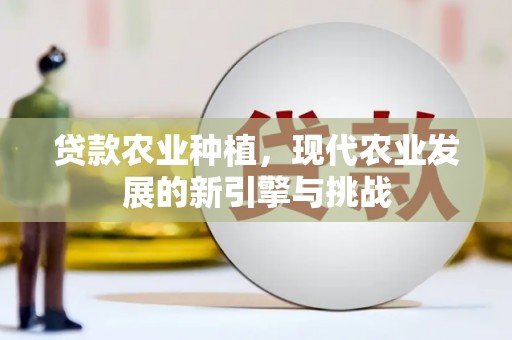 昭阳贷款农业种植，现代农业发展的新引擎与挑战