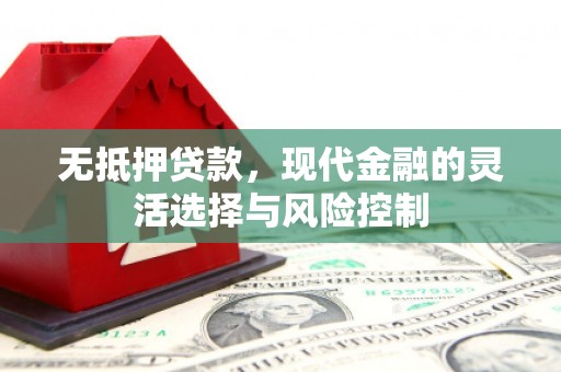 广水无抵押贷款，现代金融的灵活选择与风险控制