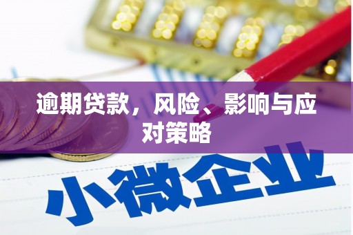 阜阳逾期贷款，风险、影响与应对策略