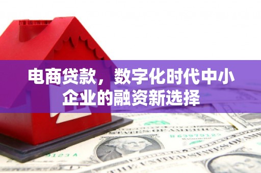 建宁电商贷款，数字化时代中小企业的融资新选择