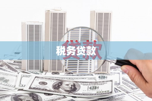 苍南税务贷款