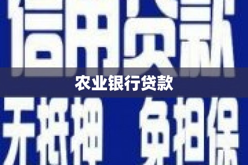 尼玛农业银行贷款