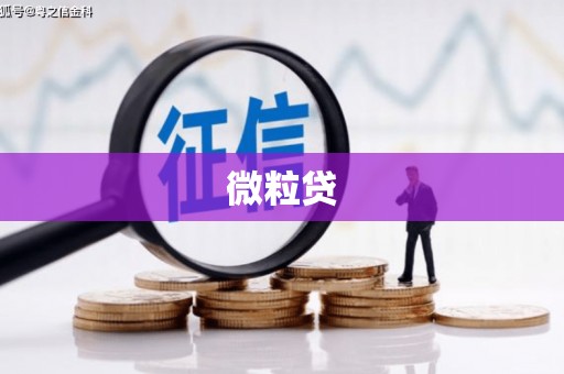 瓮安微粒贷
