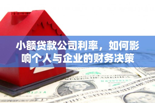 武宣小额贷款公司利率，如何影响个人与企业的财务决策