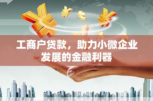 盐边工商户贷款，助力小微企业发展的金融利器