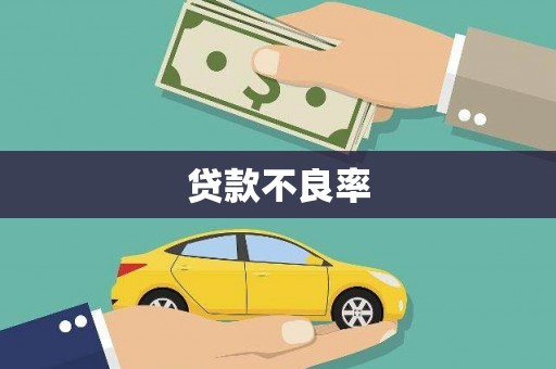 清水河贷款不良率
