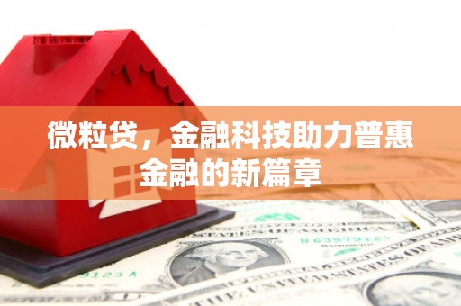 德州微粒贷，金融科技助力普惠金融的新篇章