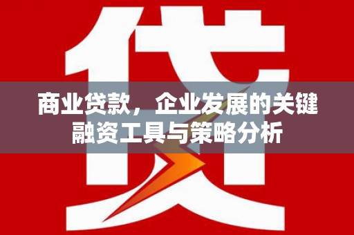 灵台商业贷款，企业发展的关键融资工具与策略分析