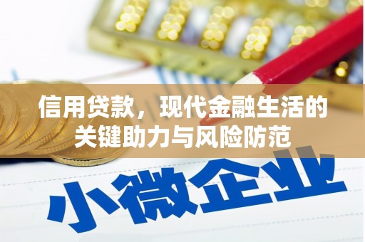 寿丰信用贷款，现代金融生活的关键助力与风险防范