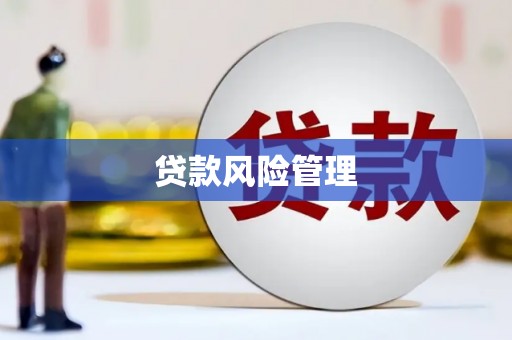 开远贷款风险管理
