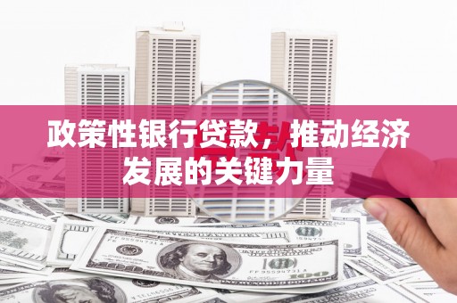 枞阳政策性银行贷款，推动经济发展的关键力量